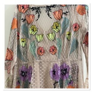 ASOS Sheer Dress with Floral Embroidery